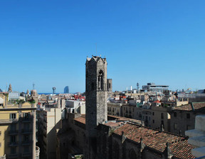 Mieszkanie do wynajęcia, Hiszpania Barcelona Plaça de Ramon Berenguer el Gran, 3162 dolar (12 679 zł), 118 m2, 90211483