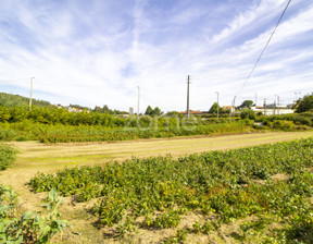 Działka na sprzedaż, Portugalia Guimaraes, 195 106 dolar (782 377 zł), 3400 m2, 92380207