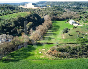 Działka na sprzedaż, Portugalia Torres Novas, 164 260 dolar (629 115 zł), 116 960 m2, 98502443