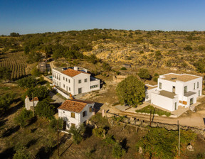 Dom na sprzedaż, Portugalia Castelo De Vide N/A Sitio de Vale Dornas, 3 024 650 dolar (12 128 846 zł), 789,95 m2, 101566504