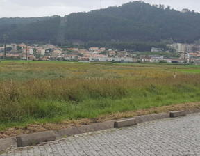 Działka na sprzedaż, Portugalia Viana Do Castelo, 117 894 dolar (475 115 zł), 22 000 m2, 96118271