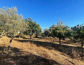 Działka na sprzedaż, Portugalia Aldeia Do Bispo, Águas E Aldeia De João Pires, 11 079 dolar (42 433 zł), 880 m2, 100360535