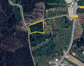 Działka na sprzedaż, Portugalia Tomar, 8121 dolar (32 729 zł), 3240 m2, 97763203