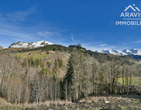 Działka na sprzedaż, Francja Le Grand-Bornand, 642 541 dolar (2 685 819 zł), 2402 m2, 96207472