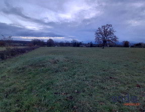 Działka na sprzedaż, Francja Meillard Le Puy de Meillard, 44 600 dolar (182 414 zł), 3723 m2, 94247680