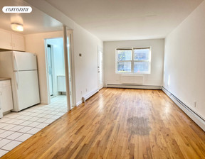 Kawalerka do wynajęcia, Usa Brooklyn, 2500 dolar (10 450 zł), 65,03 m2, 102328435