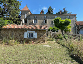 Dom na sprzedaż, Francja Châteauneuf-De-Galaure, 810 348 dolar (3 314 323 zł), 550 m2, 96914056