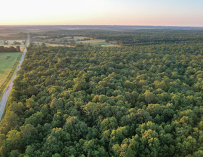 Działka na sprzedaż, Usa West Plains 001 State Route JJ, 285 498 dolar (1 093 457 zł), 412 779,38 m2, 100761991