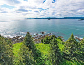 Działka na sprzedaż, Usa Kodiak 6266 Cliff Point Road The Point L, 334 000 dolar (1 366 060 zł), 8093,71 m2, 100883393