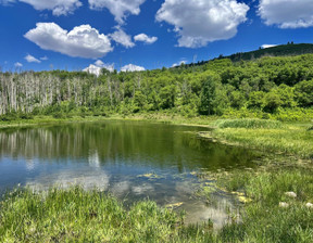 Działka na sprzedaż, Usa Dolores 000 Groundhog Reservoir Road, 975 000 dolar (3 734 250 zł), 1 294 994 m2, 83307646