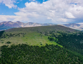 Działka na sprzedaż, Usa Leadville 19287 LAMPHIER CLAIMS, 995 000 dolar (3 810 850 zł), 1 031 948,38 m2, 99407112