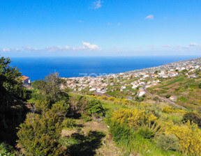 Działka na sprzedaż, Portugalia Calheta (madeira), 50 050 dolar (193 693 zł), 1200 m2, 81966804