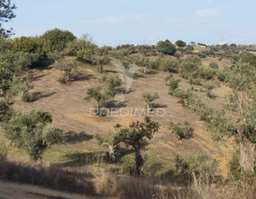 Działka na sprzedaż, Portugalia Santarém SÃO VICENTE DO PAUL, 16 743 dolar (64 462 zł), 13 960 m2, 83929075