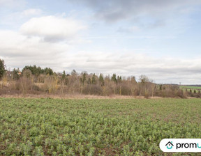 Działka na sprzedaż, Francja Sorel En Vimeu, 144 844 dolar (605 447 zł), 9470 m2, 84770474