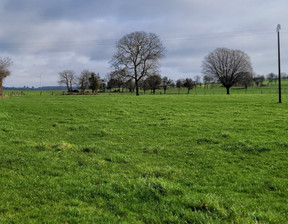 Działka na sprzedaż, Francja Kirsch-Lès-Sierck, 221 080 dolar (904 216 zł), 1400 m2, 98844580