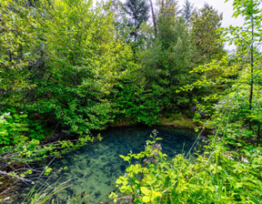 Działka na sprzedaż, Usa Weitchpec 000 Iron Gate Road , Siskiyou County, CA, 130 000 dolar (497 900 zł), 161 874,27 m2, 89401188