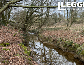 Działka na sprzedaż, Francja Barenton, 16 336 dolar (66 813 zł), 13 020 m2, 87193882