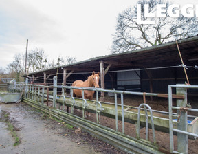 Działka na sprzedaż, Francja Cerisy-La-Forêt, 176 426 dolar (721 584 zł), 7600 m2, 94038465