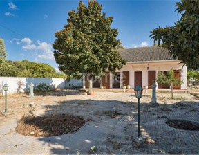 Dom na sprzedaż, Portugalia Almeirim, 320 533 dolar (1 291 748 zł), 170 m2, 87553967