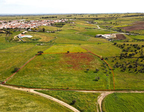 Działka na sprzedaż, Portugalia Évora, Campo E Campinho, 27 641 dolar (105 864 zł), 9750 m2, 96040188