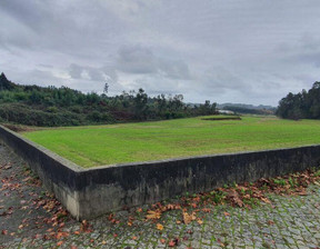 Działka na sprzedaż, Portugalia São Vicente De Pereira Jusã, 337 662 dolar (1 293 247 zł), 56 125 m2, 93191277