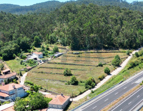 Działka na sprzedaż, Portugalia Braga, Barcelos, Carvalhal, 166 312 dolar (643 629 zł), 9600 m2, 100593306