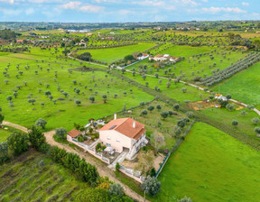 Dom na sprzedaż, Portugalia Santarém, Santarém, São Vicente Do Paul E Vale De, 419 342 dolar (1 689 949 zł), 180 m2, 94557401