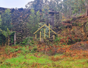 Działka na sprzedaż, Portugalia Sao Pedro Do Sul, 29 054 dolar (111 860 zł), 4900 m2, 95318703