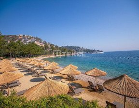 Mieszkanie na sprzedaż, Turcja Mugla Bodrum, Göltürkbükü, 1 985 000 dolar (7 959 850 zł), 165 m2, 95846596