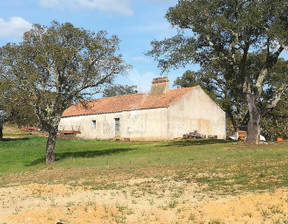 Działka na sprzedaż, Portugalia Santiago Do Cacém Santiago do Cacém, Santa Cruz e São Bartolomeu da Serra, 1 103 586 dolar (4 237 770 zł), 288 000 m2, 100282396