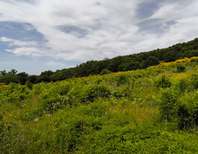 Działka na sprzedaż, Francja Vinsobres, 115 439 dolar (472 148 zł), 60 000 m2, 97700552