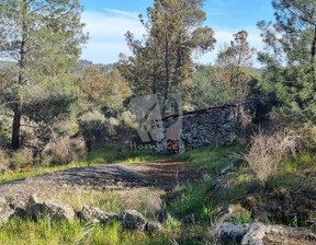 Działka na sprzedaż, Portugalia Salgueiro Do Campo, 17 906 dolar (68 579 zł), 8150 m2, 99503300