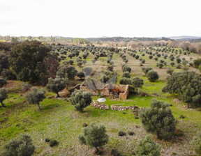 Działka na sprzedaż, Portugalia Aldeia Do Bispo, Águas E Aldeia De João Pires, 33 014 dolar (126 443 zł), 24 225 m2, 99503311