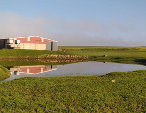 Dom na sprzedaż, Hiszpania Brozas, 468 823 dolar (1 917 487 zł), 2500 m2, 100815038