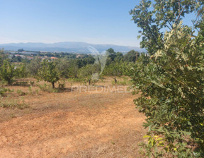 Działka na sprzedaż, Portugalia Fundao Fundão, Valverde, Donas, Aldeia de Joanes e Aldeia Nova do Cabo, 83 416 dolar (322 822 zł), 10 315 m2, 99771249