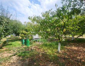 Działka na sprzedaż, Bułgaria Плевен/pleven с. Телиш, Център/s. Telish, Centar, 13 922 dolar (55 827 zł), 750 m2, 100525843