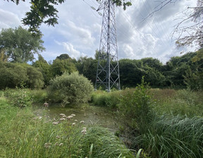 Działka na sprzedaż, Francja Glisy, 35 875 dolar (146 729 zł), 1736 m2, 101017120