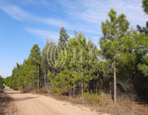 Działka na sprzedaż, Portugalia Melides, 1 107 712 dolar (4 242 536 zł), 40 053 m2, 76386144