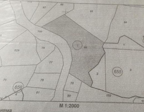 Działka na sprzedaż, Bułgaria Смолян/smolian к.к. Пампорово/k.k. Pamporovo, 152 467 dolar (611 394 zł), 5562 m2, 68771223