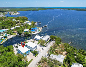 Dom na sprzedaż, Usa Key Largo 68 Bass Avenue, 3 399 000 dolar (13 901 910 zł), 295,62 m2, 98117405