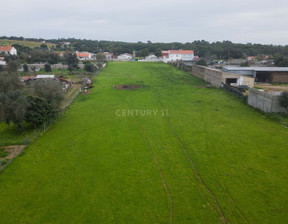 Działka na sprzedaż, Portugalia Santo Estevão, 1 227 965 dolar (4 703 106 zł), 16 338 m2, 96226908