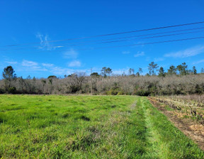 Działka na sprzedaż, Portugalia Juncal, 20 144 dolar (77 151 zł), 7320 m2, 96116809