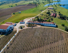 Dom na sprzedaż, Portugalia Alandroal, 4 211 689 dolar (16 678 289 zł), 325 m2, 96122519