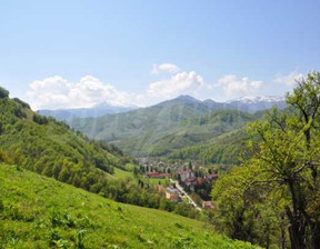 Działka na sprzedaż, Bułgaria Ловеч/lovech с. Рибарица/s. Ribarica, 65 343 dolar (262 026 zł), 14 650 m2, 96944460