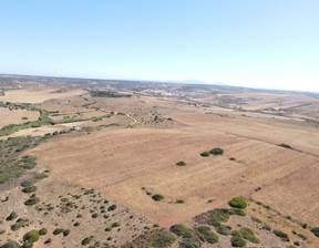 Działka na sprzedaż, Portugalia Vila Do Bispo E Raposeira, 20 190 dolar (80 961 zł), 6000 m2, 96118741