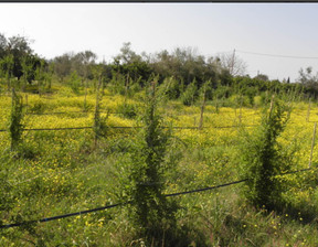 Działka na sprzedaż, Grecja Platanos Epar.Od. Platanou-Lambias, 39 989 dolar (153 158 zł), 18 000 m2, 68082000