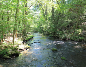 Działka na sprzedaż, Usa Pound Ridge Rolling Meadow Lane, 4 500 000 dolar (17 235 000 zł), 178 911,52 m2, 97152679